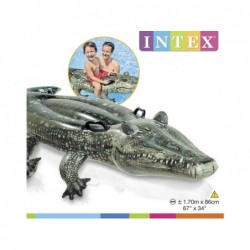 Coccodrillo Gonfiabile Intex 57551 Da 170x86 Cm | Piscinefuoriterraweb