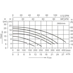 Pompa ad aspirazione automatica da 1 CV PQS S1 PRO | Basenyweb